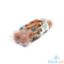 Picture of Gemsun Sunny Brown Egg 12Pcs