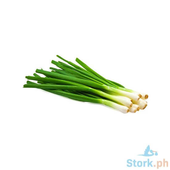 Picture of Global Fresh Onion Spring