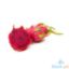 Picture of Jed Mktg Dragon Fruit White Per Kilo