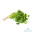 Picture of Global Fresh Kinchay Per Kilo